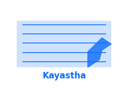 Kayastha icon